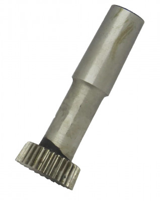 Долбяк хвостовий