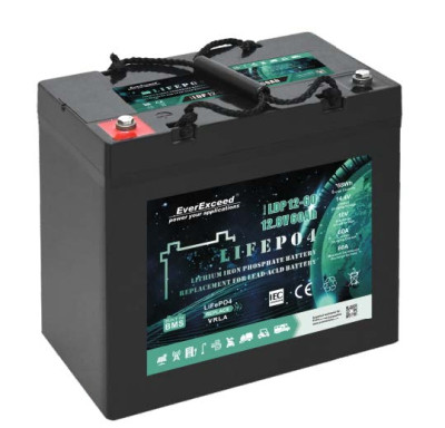 Акумулятор LiFePO4 EverExceed LDP 12V60AH