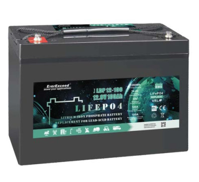 Акумулятор LiFePO4 EverExceed LDP 12V100AH