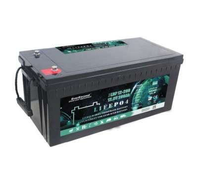 Акумулятор LiFePO4 EverExceed LDP 12V200AH