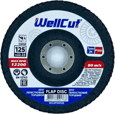 Круг лепестковый торцевой WellCut 29 125х22,23 мм P100